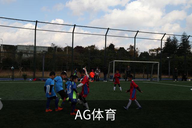 AG体育公司简介展示图